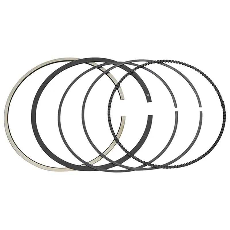 Anillos de Pistón Vertex (590398000001) — Polaris - Semage Group