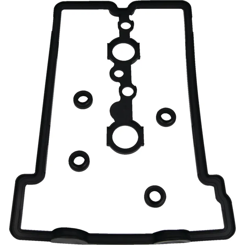 Junta de Tapa de Válvulas Vertex (819124) — Polaris - Semage Group