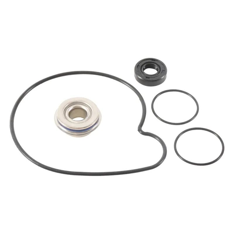 Kit de Reconstrucción de Bomba de Agua Vertex (821001) — Polaris - Semage Group
