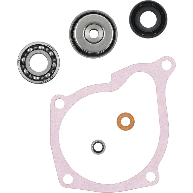 Kit de Reconstrucción de Bomba de Agua Vertex (821903) — Polaris Ranger 500 - Semage Group