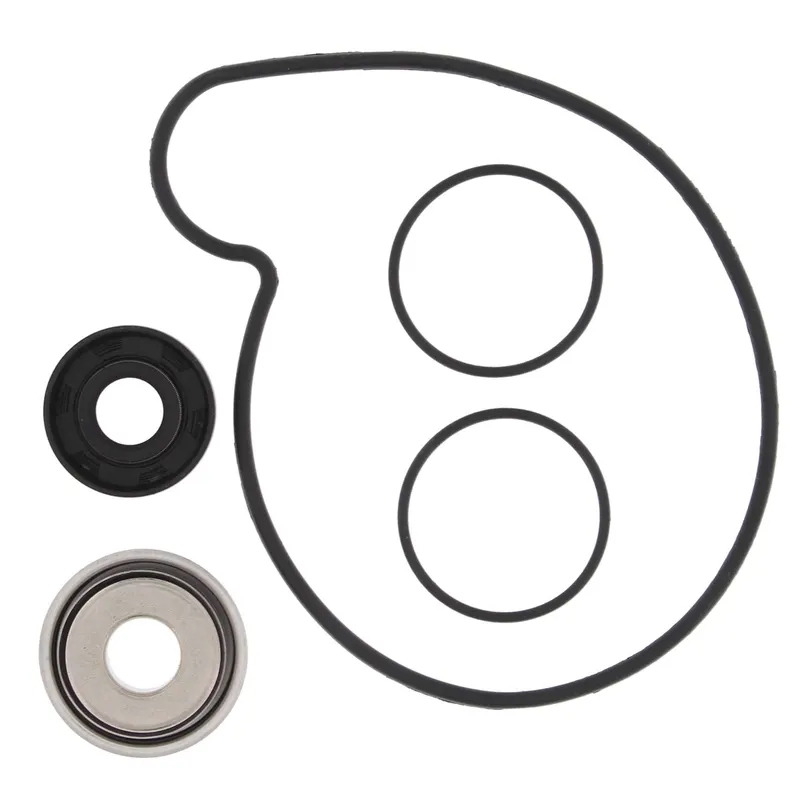 Kit de Reconstrucción de Bomba de Agua Vertex (821969) — Polaris - Semage Group