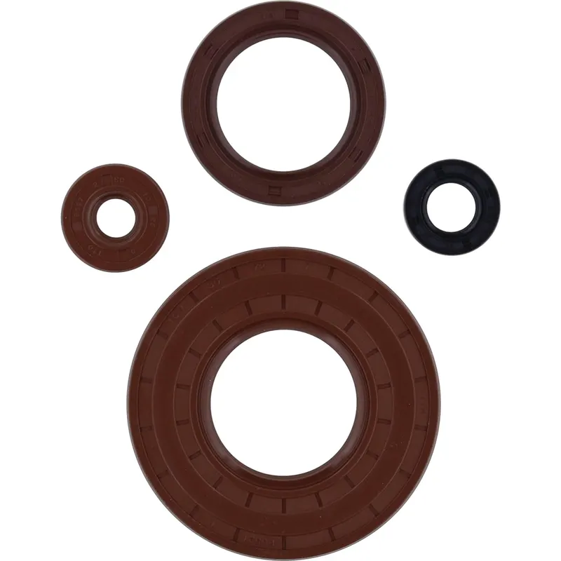 Kit de Sellos de Aceite del Motor Vertex (822002) — Can-Am - Semage Group