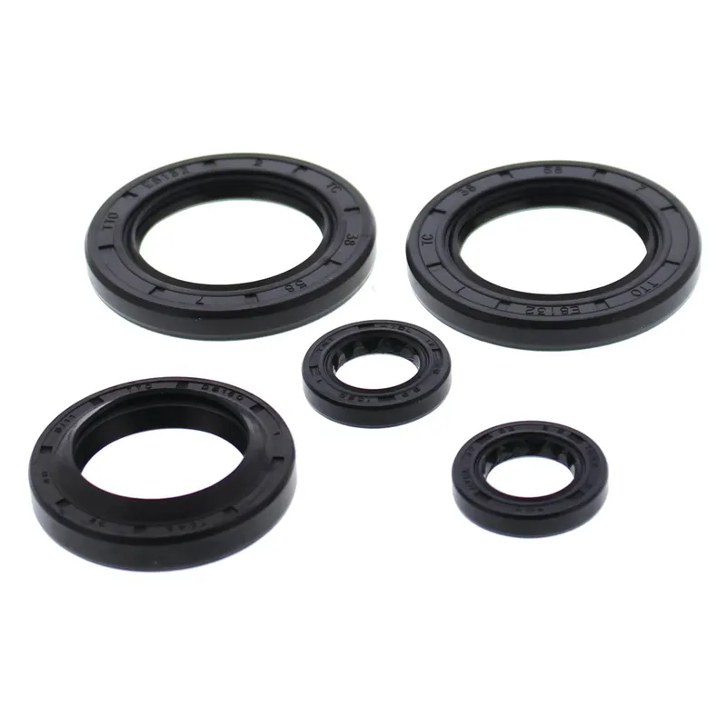 Kit de Sellos de Aceite del Motor Vertex (822144) — Polaris Ranger 500 - Semage Group