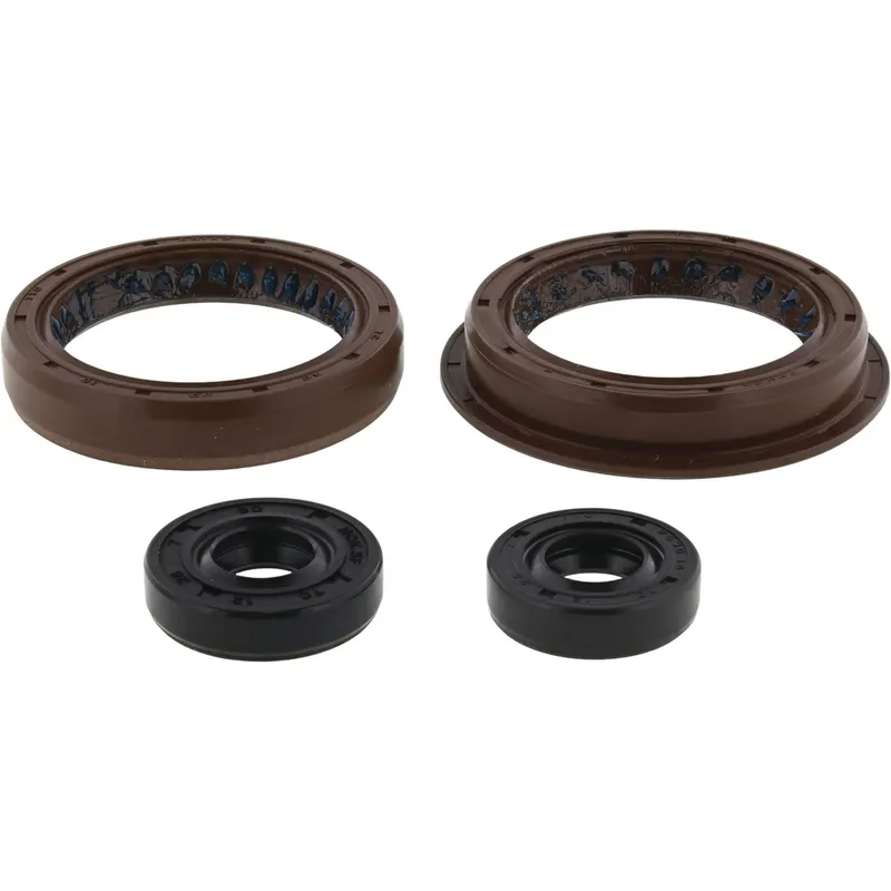 Kit de Sellos de Aceite del Motor Vertex (822200) — Polaris - Semage Group
