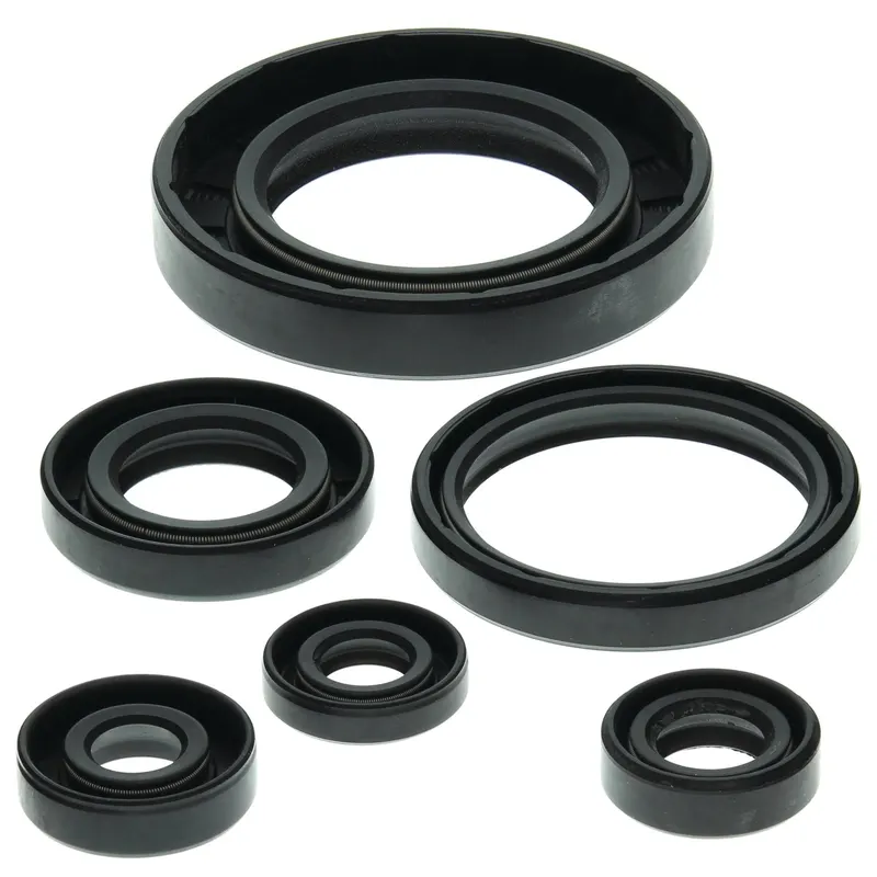 Kit de Sellos de Aceite del Motor Vertex (822204) — Can-Am Traxter - Semage Group