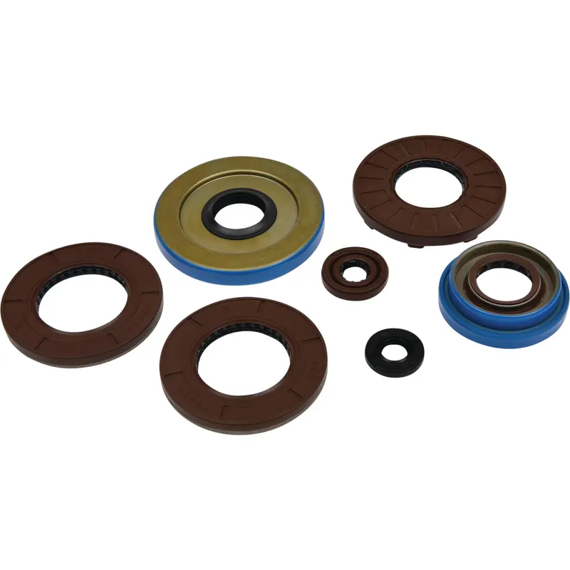 Kit de Sellos de Aceite del Motor Vertex (822375) — Polaris Ranger 500 - Semage Group