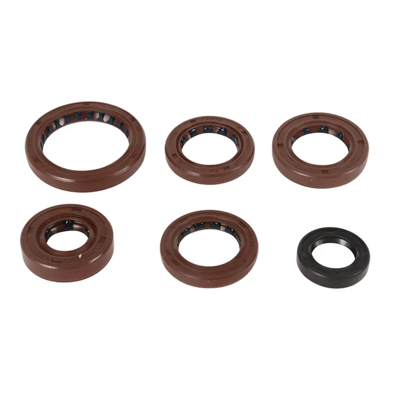 Kit de Sellos de Aceite del Motor Vertex (822376) — Polaris Ranger 500 - Semage Group