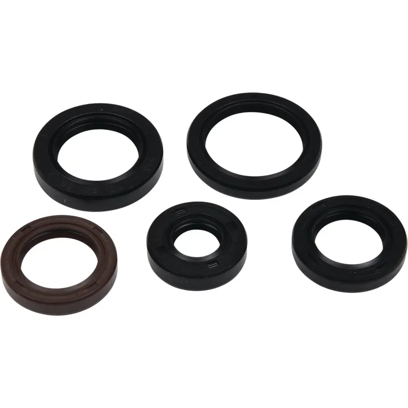 Kit de Sellos de Aceite del Motor Vertex (822394) — Polaris RZR 170 / 200 - Semage Group